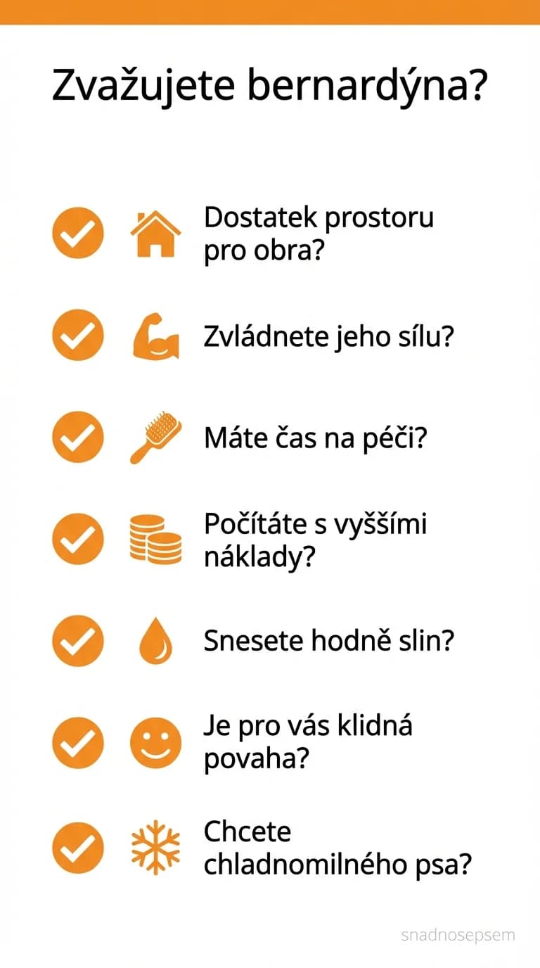 Seznam: Bernardýn: záchranář z Alp