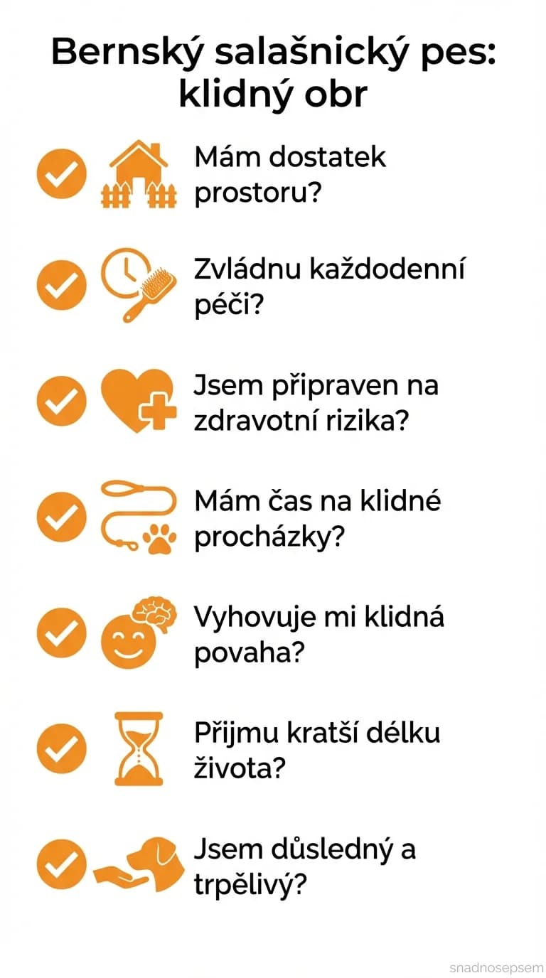 Seznam: Bernský salašnický pes: klidný obr