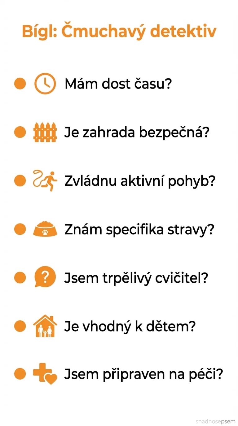 Seznam: Bígl: Čmuchavý detektiv