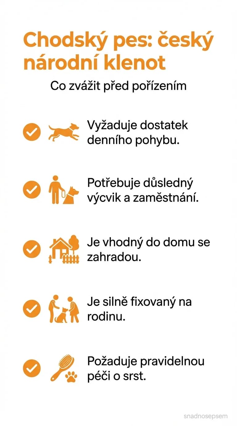 Seznam: Chodský pes: český národní klenot