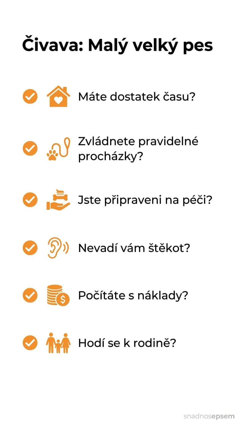 Seznam: Čivava: Malý velký pes