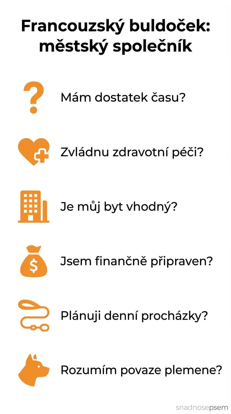 Seznam: Francouzský buldoček: městský společník