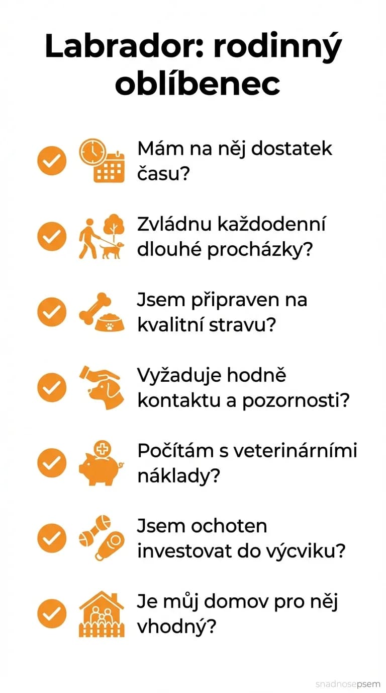 Seznam: Labrador: rodinný oblíbenec