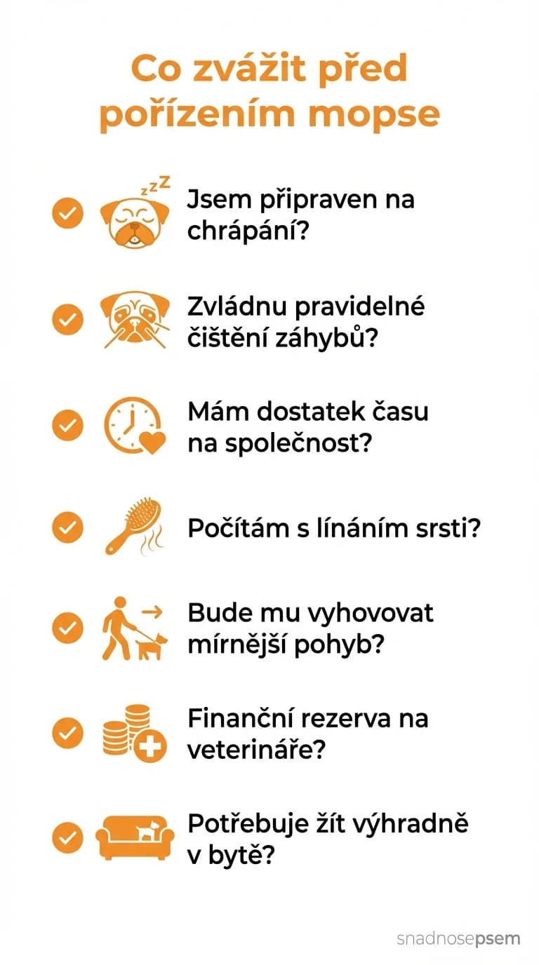 Seznam: Mops: Vtipálek s velkýma očima