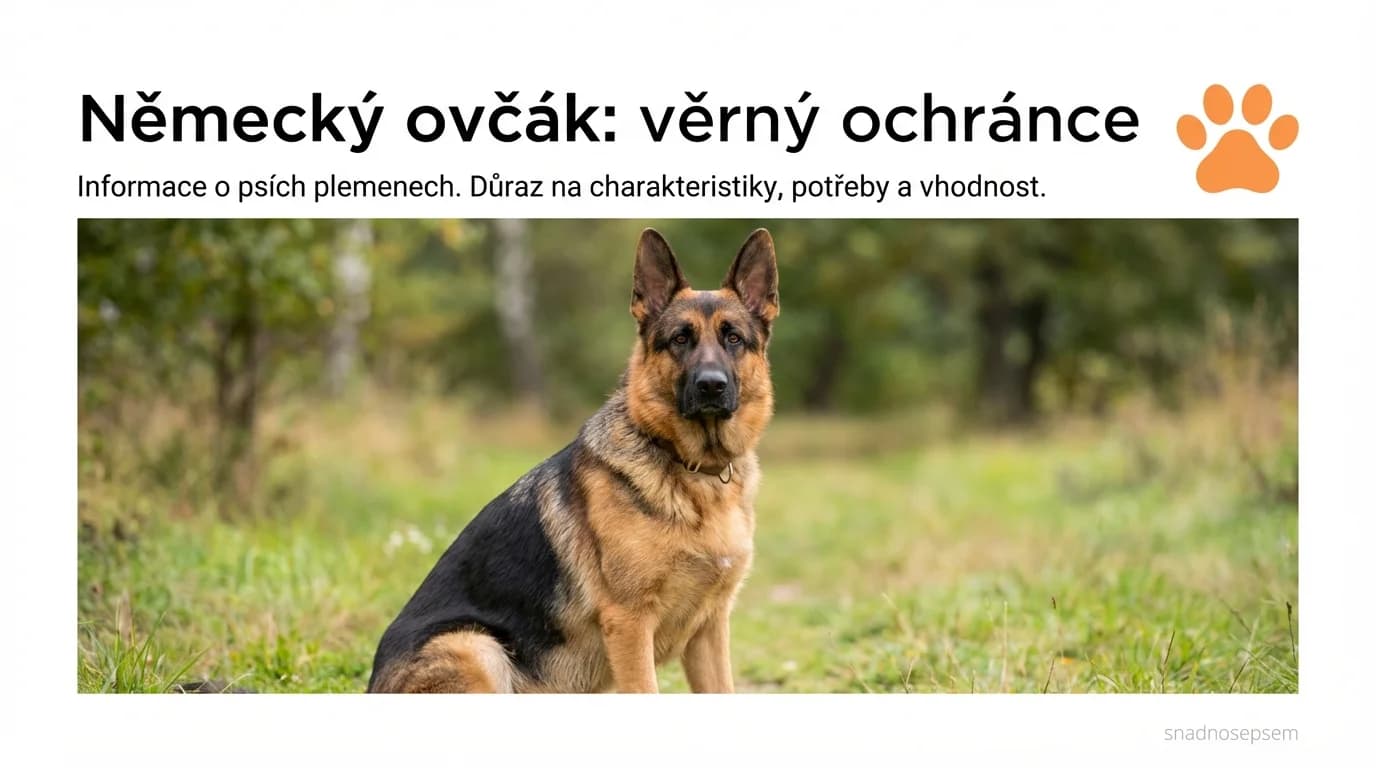 Fotografie: Německý ovčák: věrný ochránce