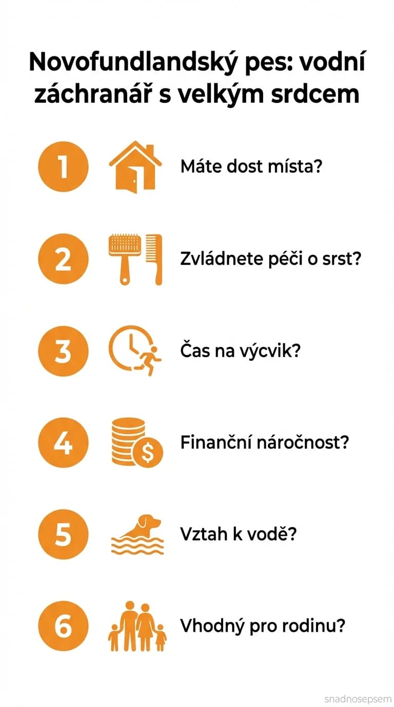 Seznam: Novofundlandský pes: vodní záchranář s velkým srdcem