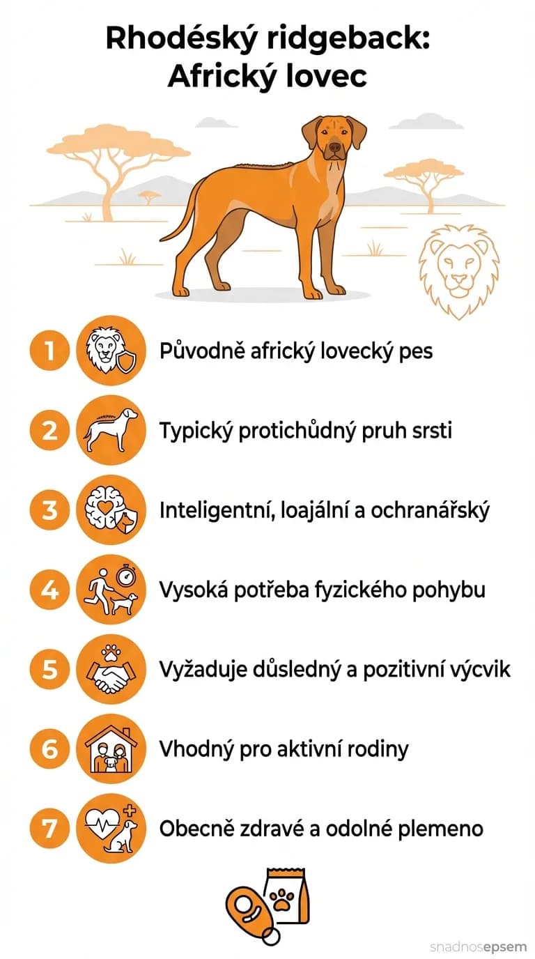 Infografika: Rhodéský ridgeback: Africký lovec