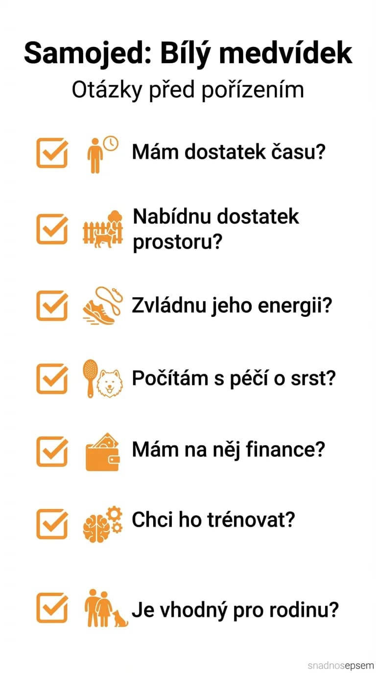 Seznam: Samojed: Bílý medvídek