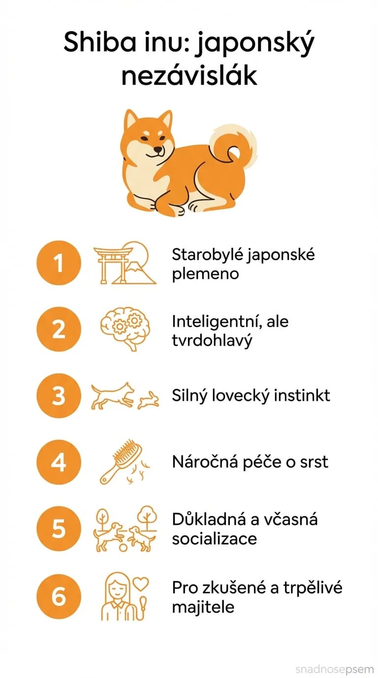 Infografika: Shiba inu: japonský nezávislák
