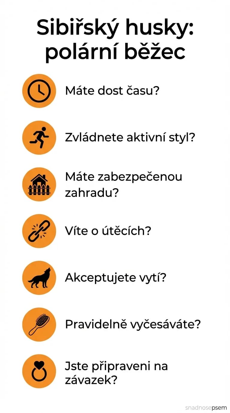 Seznam: Sibiřský husky: polární běžec