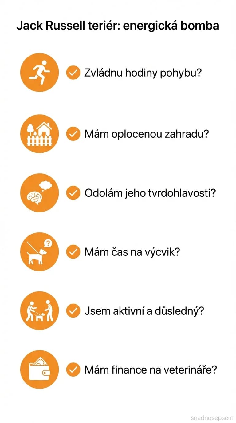 Seznam: Jack Russell teriér: energická bomba