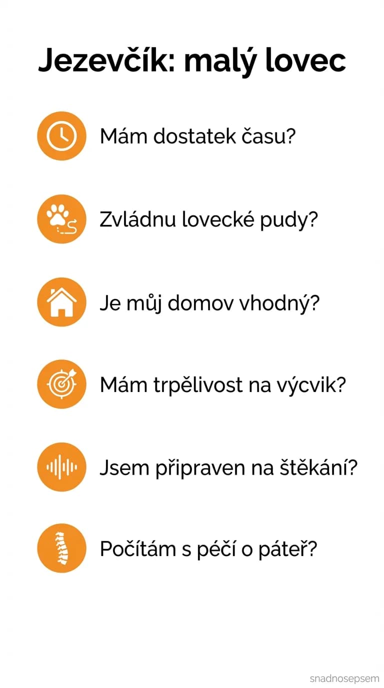 Seznam: Jezevčík: malý lovec